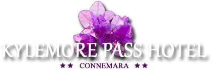 Kylemore Pass Hotel
